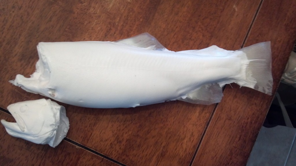 Custom Fish Molding Carlson's Fish Taxidermy