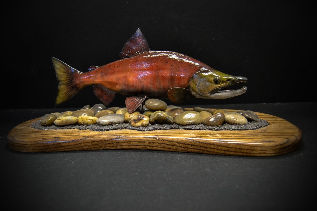 Gallery Carlson's Fish Taxidermy